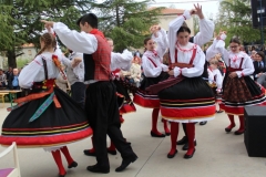 Polje 17.04.2018 (111)