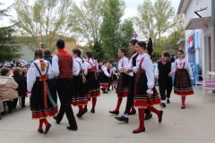 Polje 17.04.2018 (71)