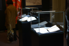 Danuncijada-na-krku-12