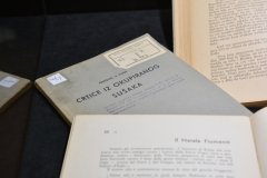 Danuncijada-na-krku-4