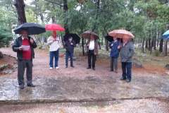 viber_slika_2020-10-07_16-48-14