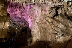 IMG_8017
