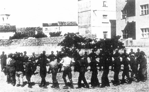 Oslobođenje otoka Krka - 17. travnja 1945.